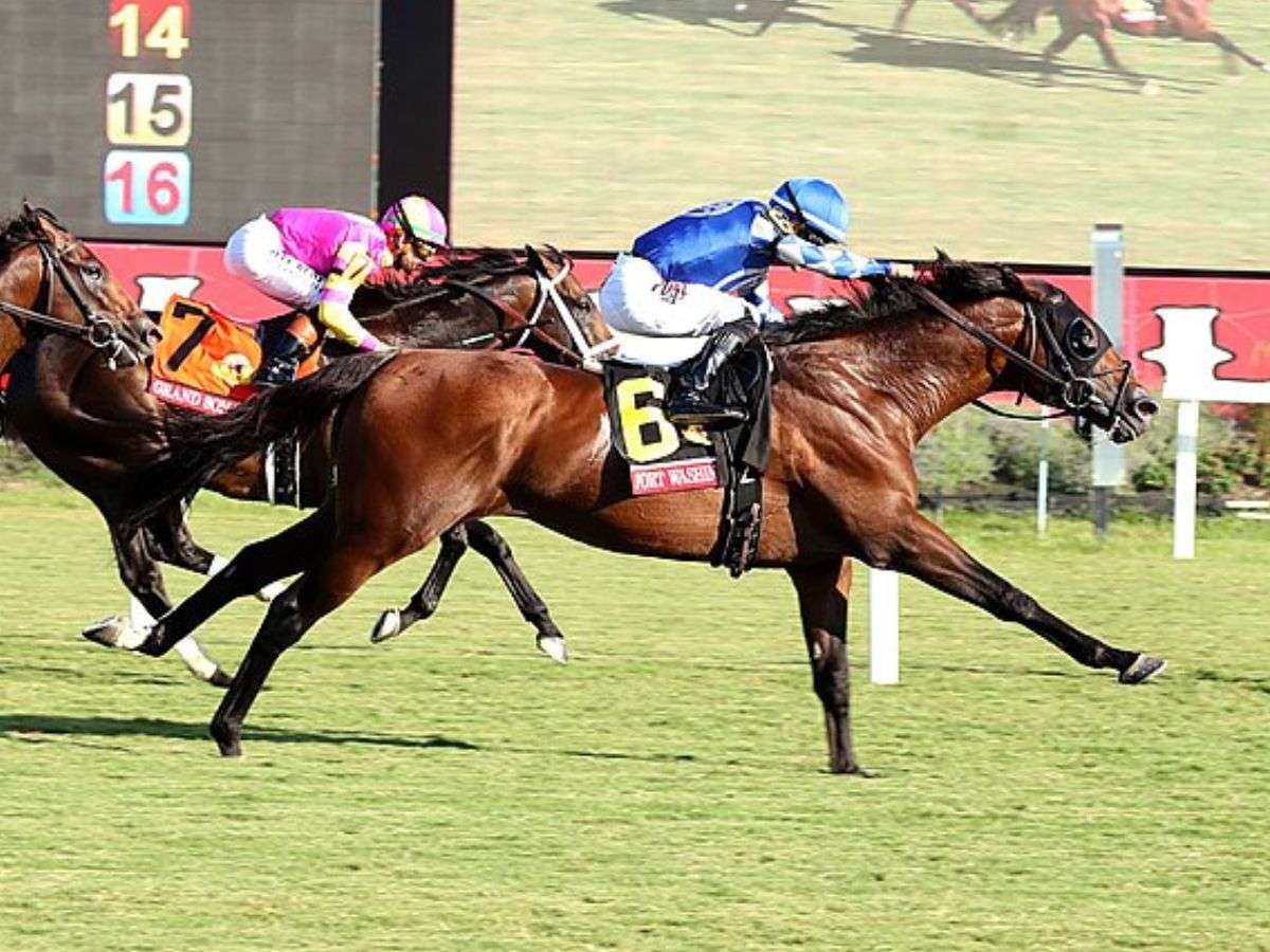 Junior Alvarado se adjudicó el éxito en el Arlington Million