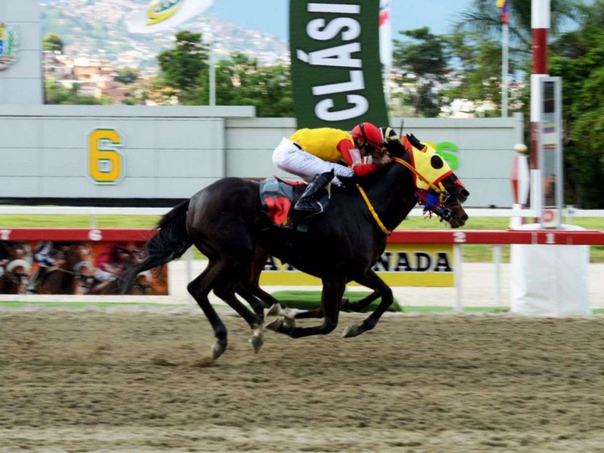 Mi Maritza y Hayes Bay, un empate para recordar