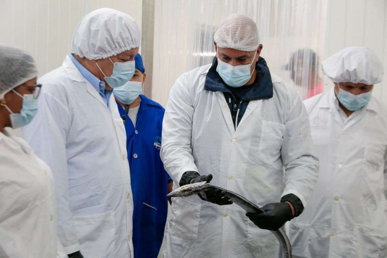 Estiman exportar a China 288 mil kilos de tajalí mirandino para finales del 2025