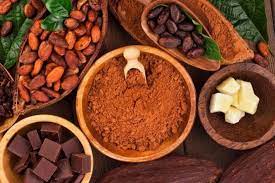 Ciencia con sello venezolano. Cacao venezolano, alimento de los dioses que sigue seduciendo al mundo