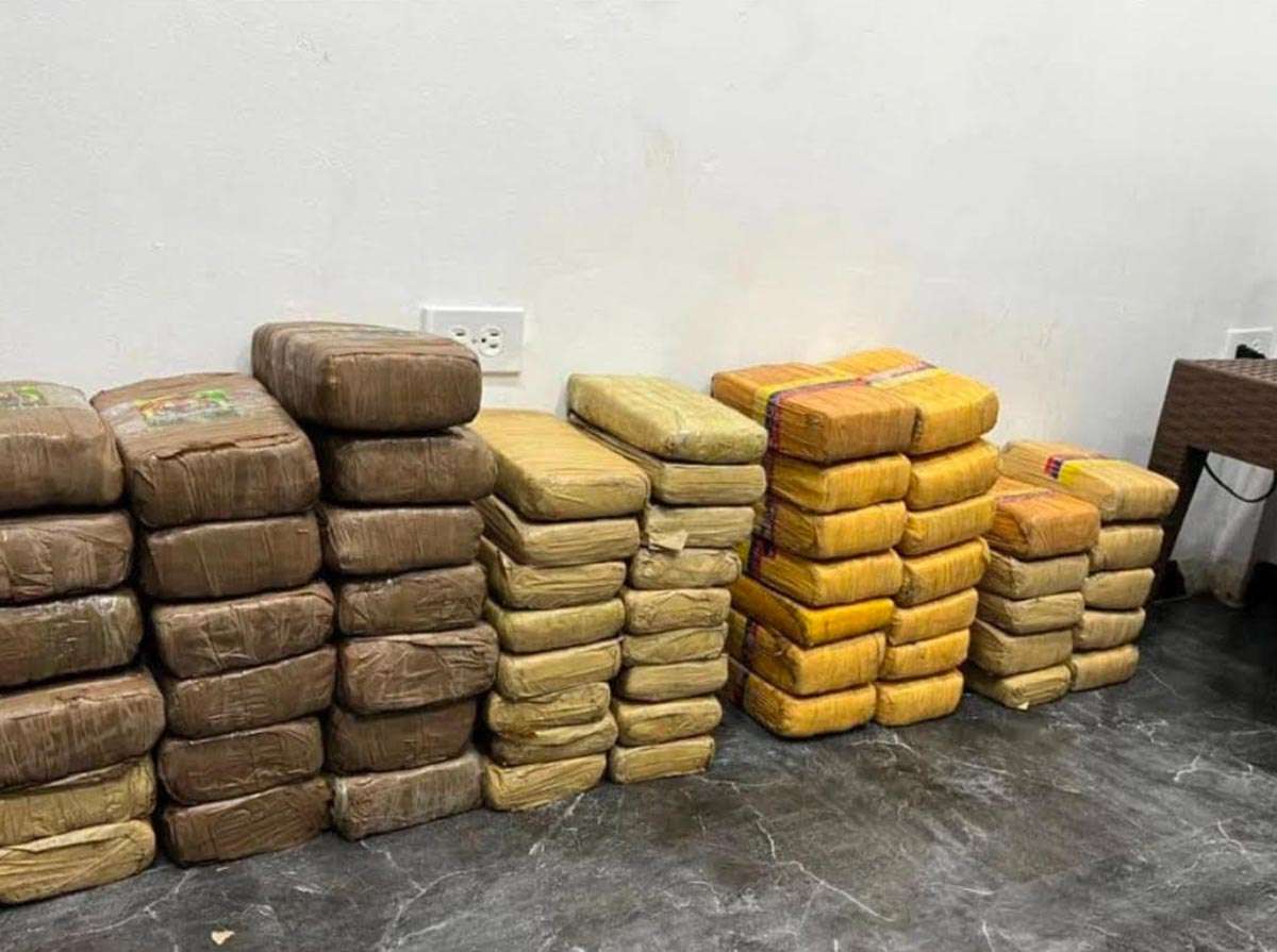Localizan en Isla Las Minas 60 panelas de marihuana