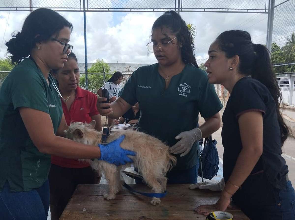 Más de 250 mascotas fueron favorecidas con jornada médica en Monagas