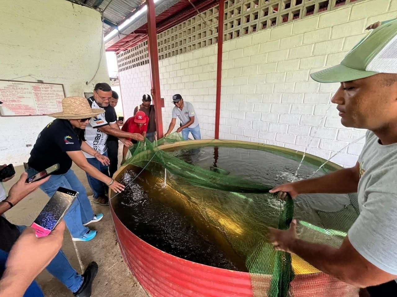 Guárico apuesta a la producción de coporo