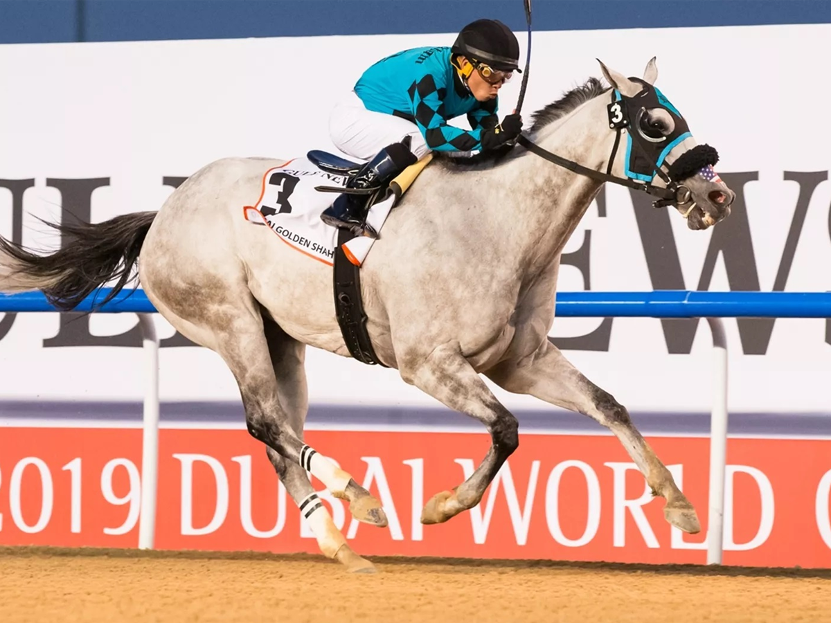 Jaramillo y Meneses con fotos en Gulfstream Park