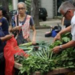Agroproductores cumplirán 10 años con su feria en Los Caobos