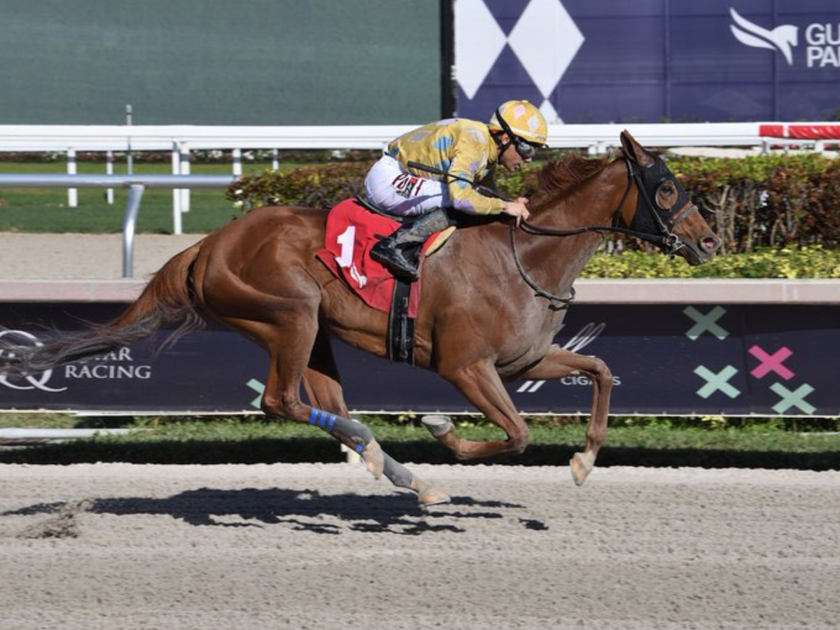Francisco Arrieta gran victoria con Mystik Dan