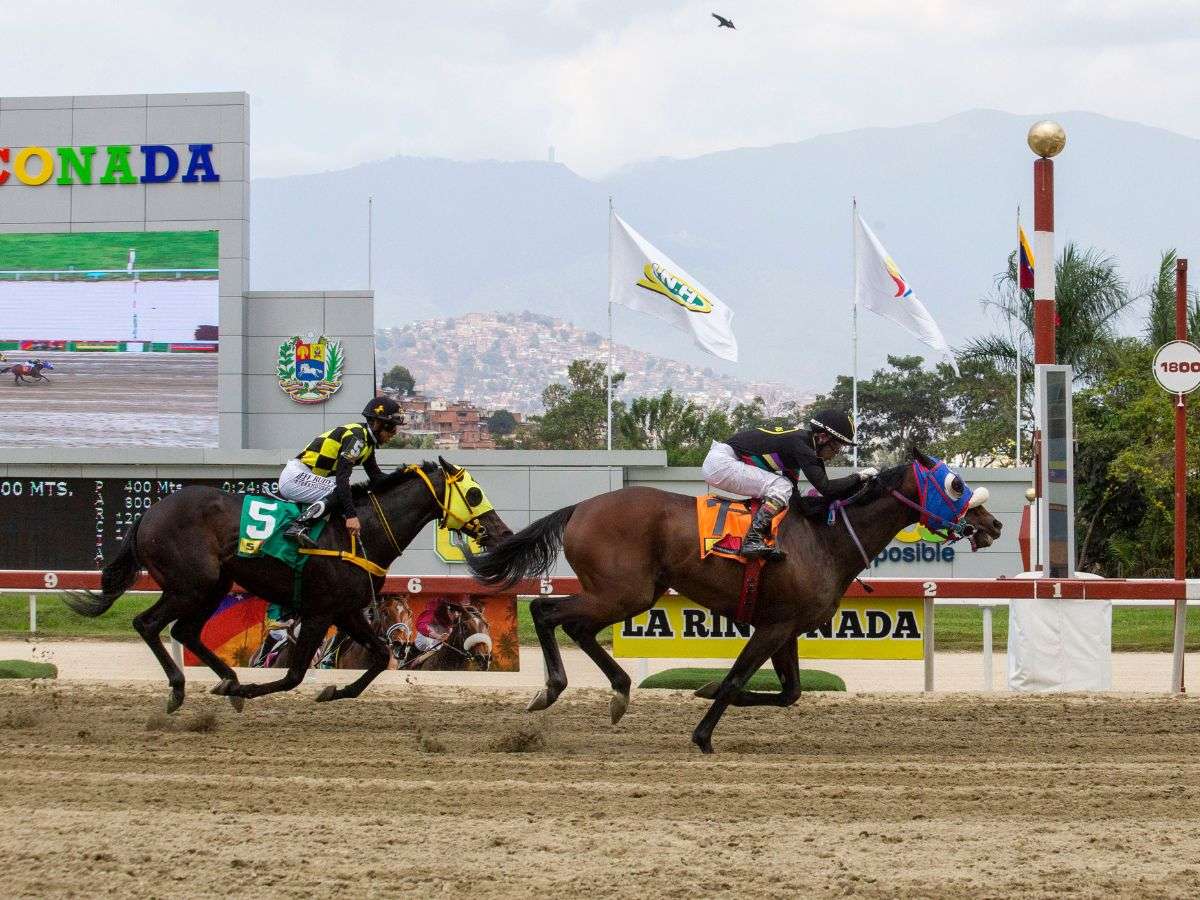 Se disputarán los eventos Millard Ziadie y Gelinotte