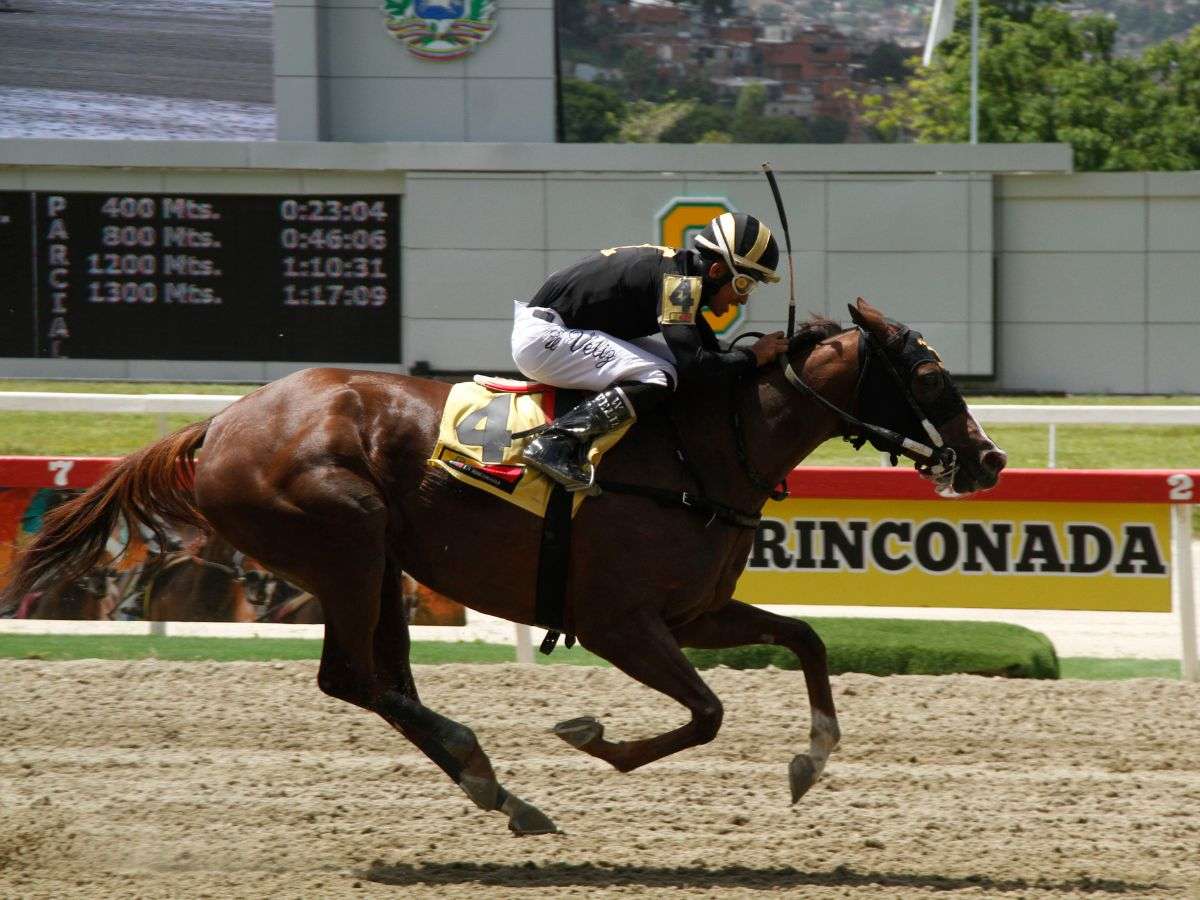 Say Cheez Louise galopó con el jinete Winder Véliz
