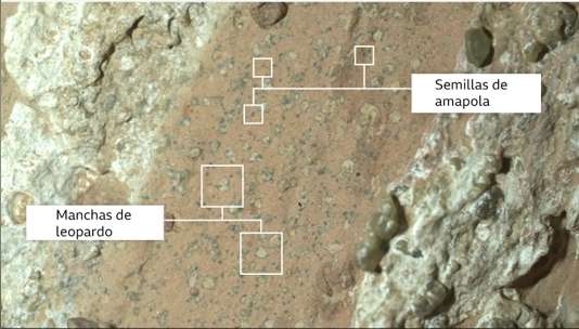 ¿Vida en Marte? las misteriosas “manchas de leopardo” que intrigan a la NASA