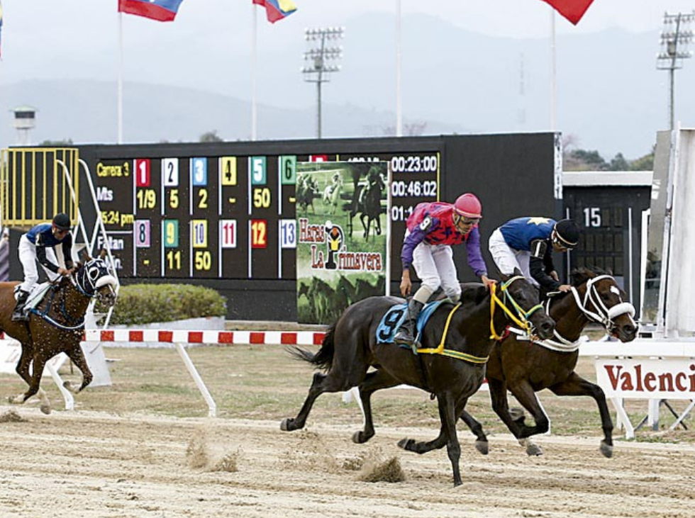 Doce pruebas este domingo en el óvalo de La Rinconada