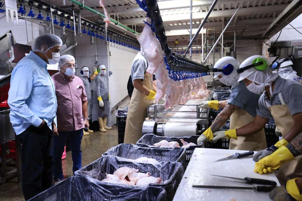 Crece la producción de alimentos