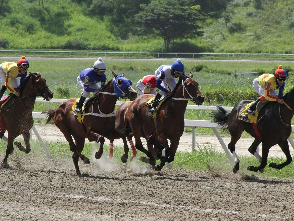 Tres yeguas retarán a 15 machos en el Bolívar