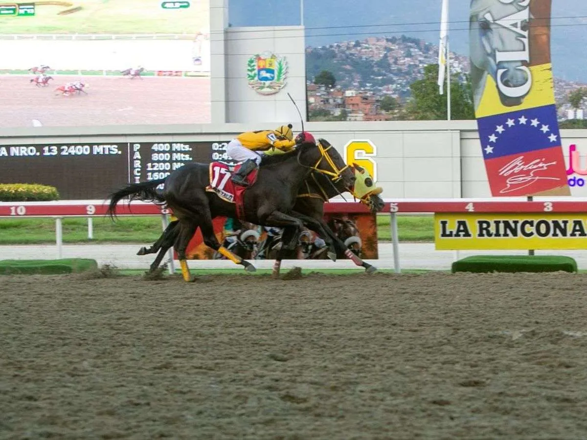 Astuto la gran sorpresa - Líder en deportes