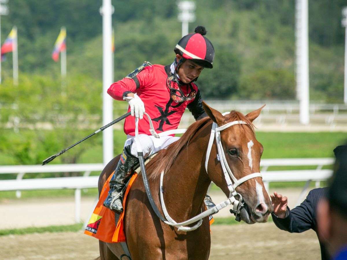 Bunker atropelló y ganó el Cipriani