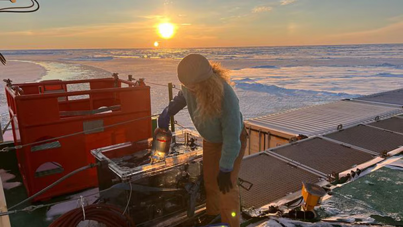 Revelan un proceso biológico oculto bajo el hielo del Ártico que podría cambiar el futuro del océano