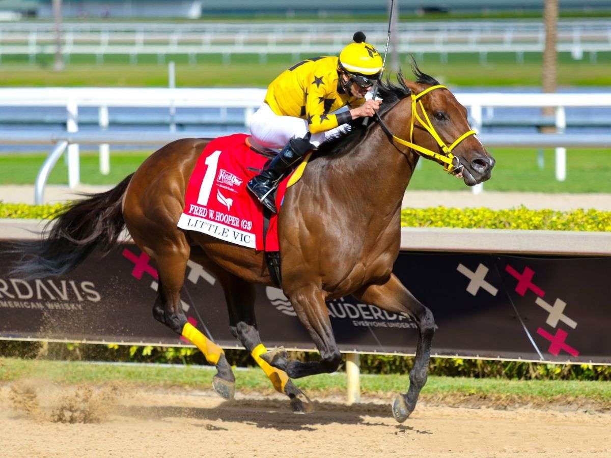 Little Vic correrá el Clásico Kelvin Álvarez en Caracas