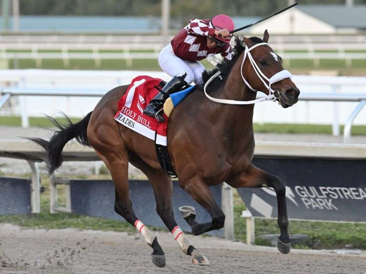 Venezolanos arrasaron en el óvalo de Gulfstream Park