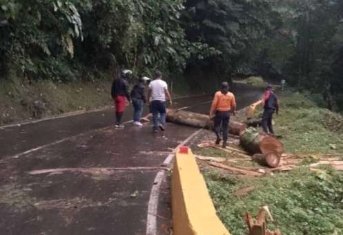 Limpian carretera hacia Ocumare de la Costa como prevención por lluvias
