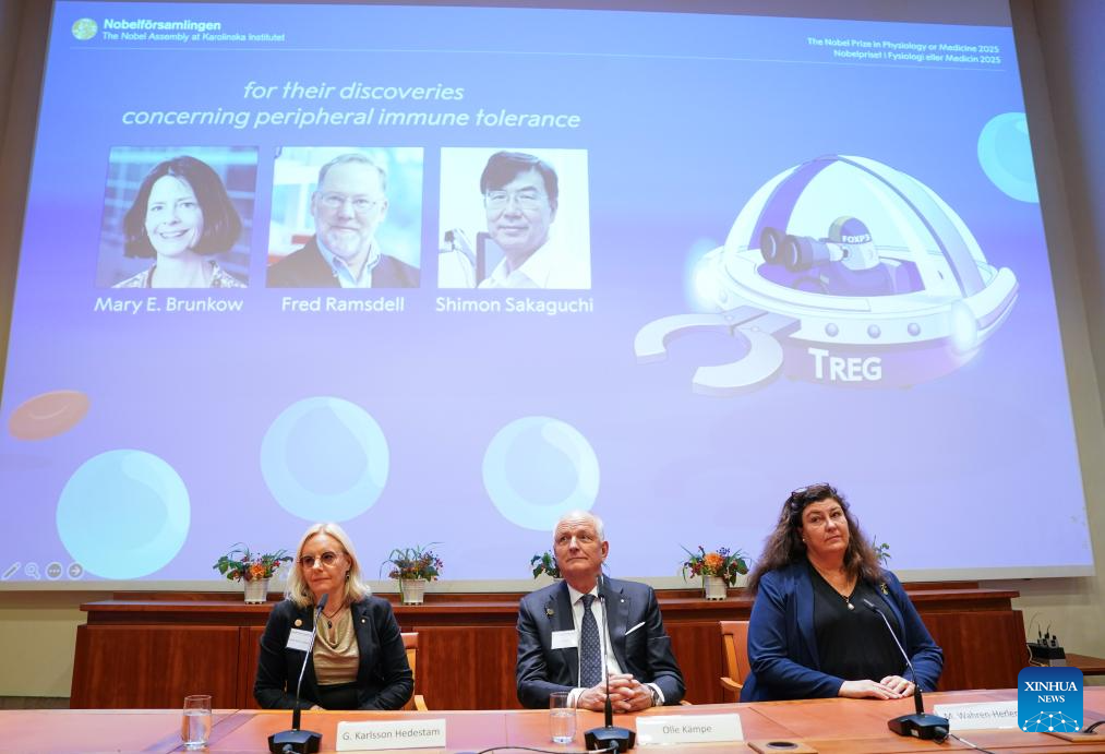 Premios Nobel 2025 reconocen avances en física cuántica y tolerancia inmunitaria