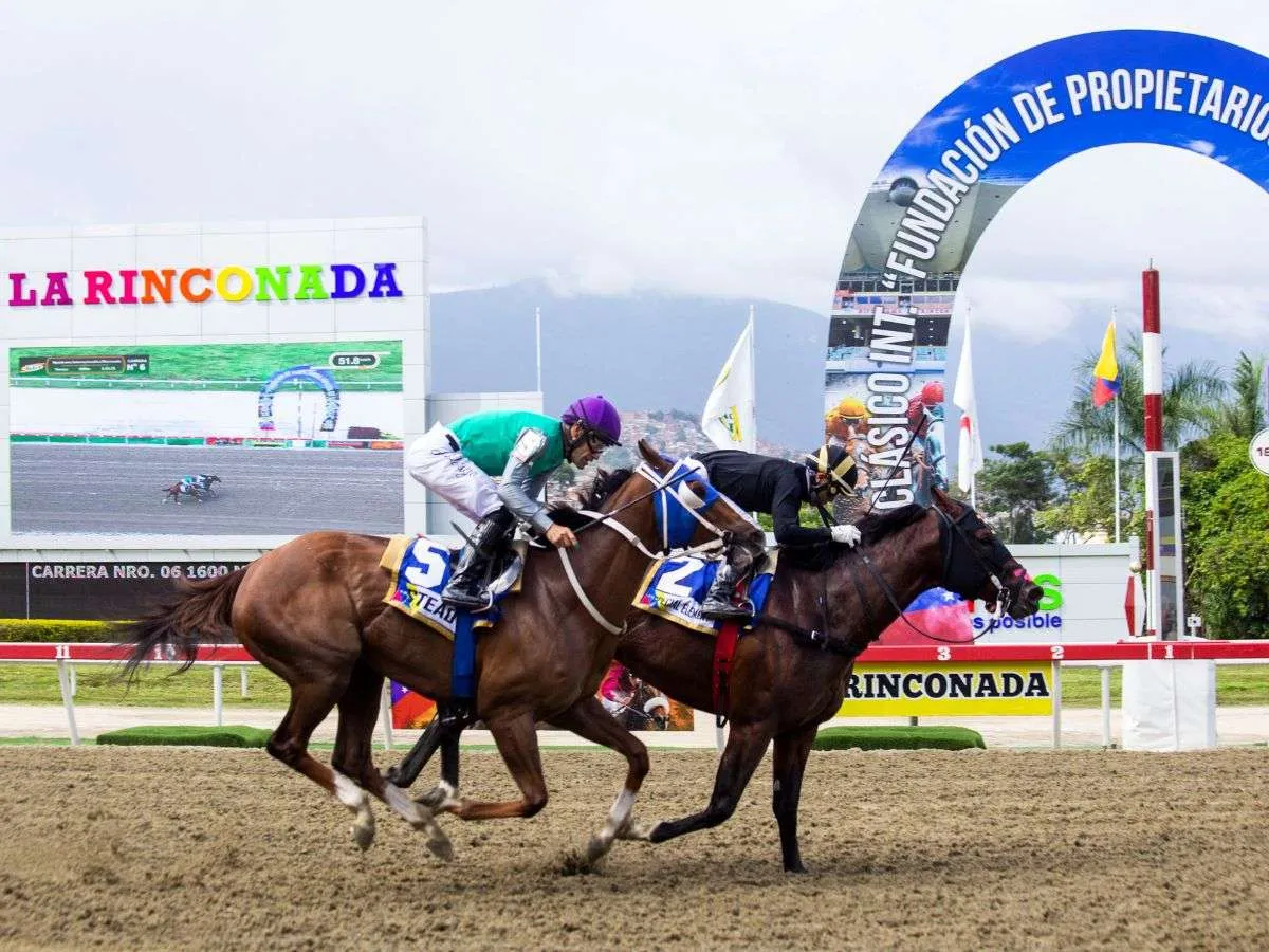 Special Element favorito en el Bolívar