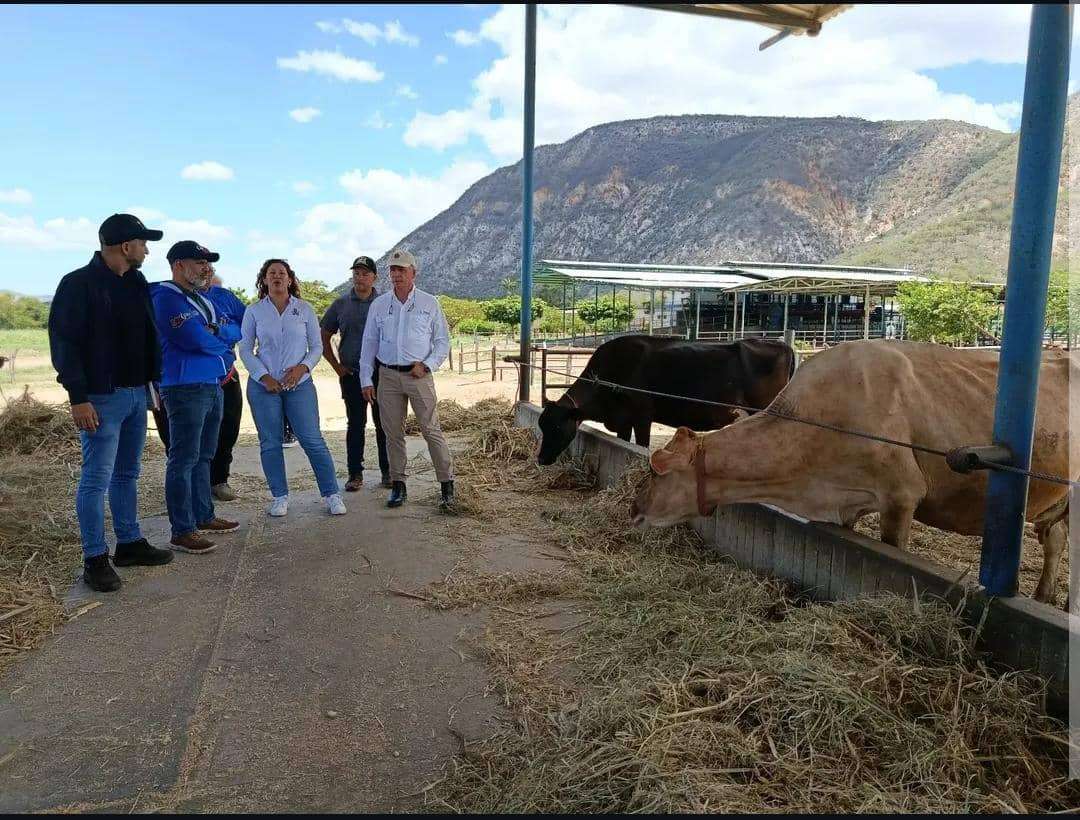 Promueven unidades de producción láctea