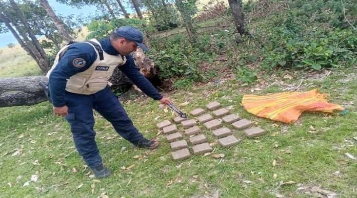 PNB localizó en Apure 20 panelas de marihuana