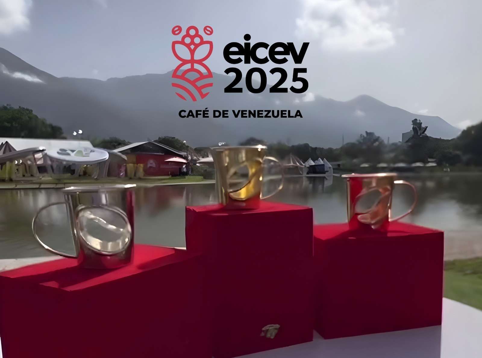 EICEV 2025 premiará esfuerzo de los caficultores