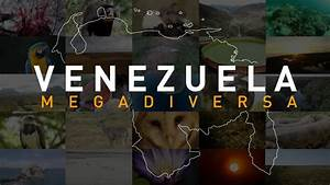 Hjalmar Jesus Gibelli Gómez | Venezuela Megadiversa: Un Viaje por los Tesoros Naturales del País (y por qué Debemos Protegerlos)