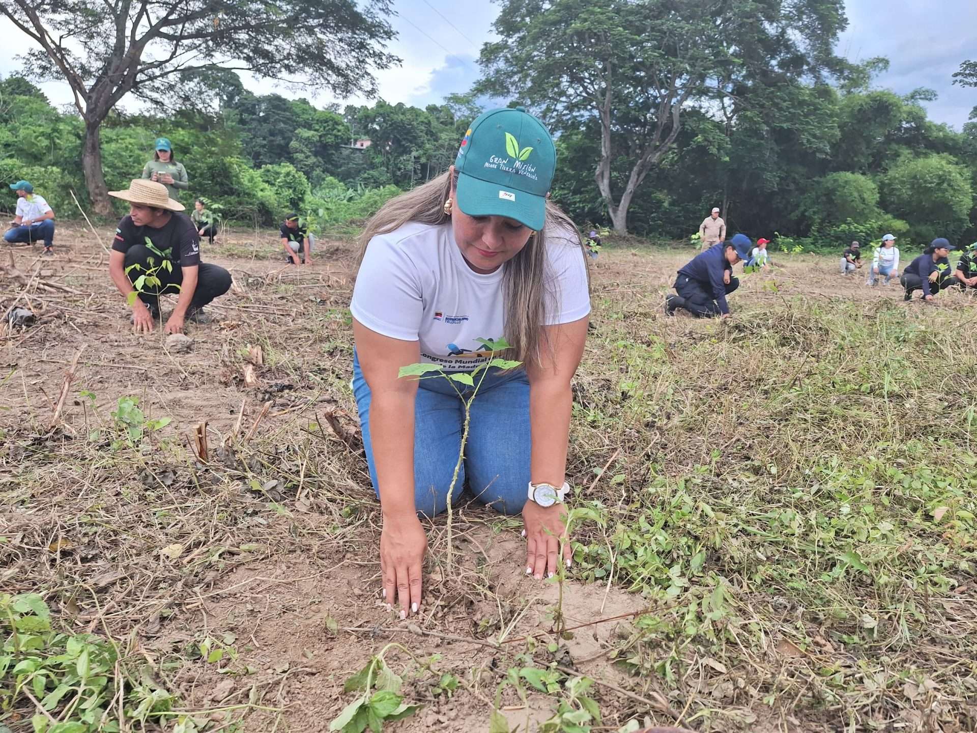 Con 2.000 especies autóctonas sembradas reforestan en Trujillo
