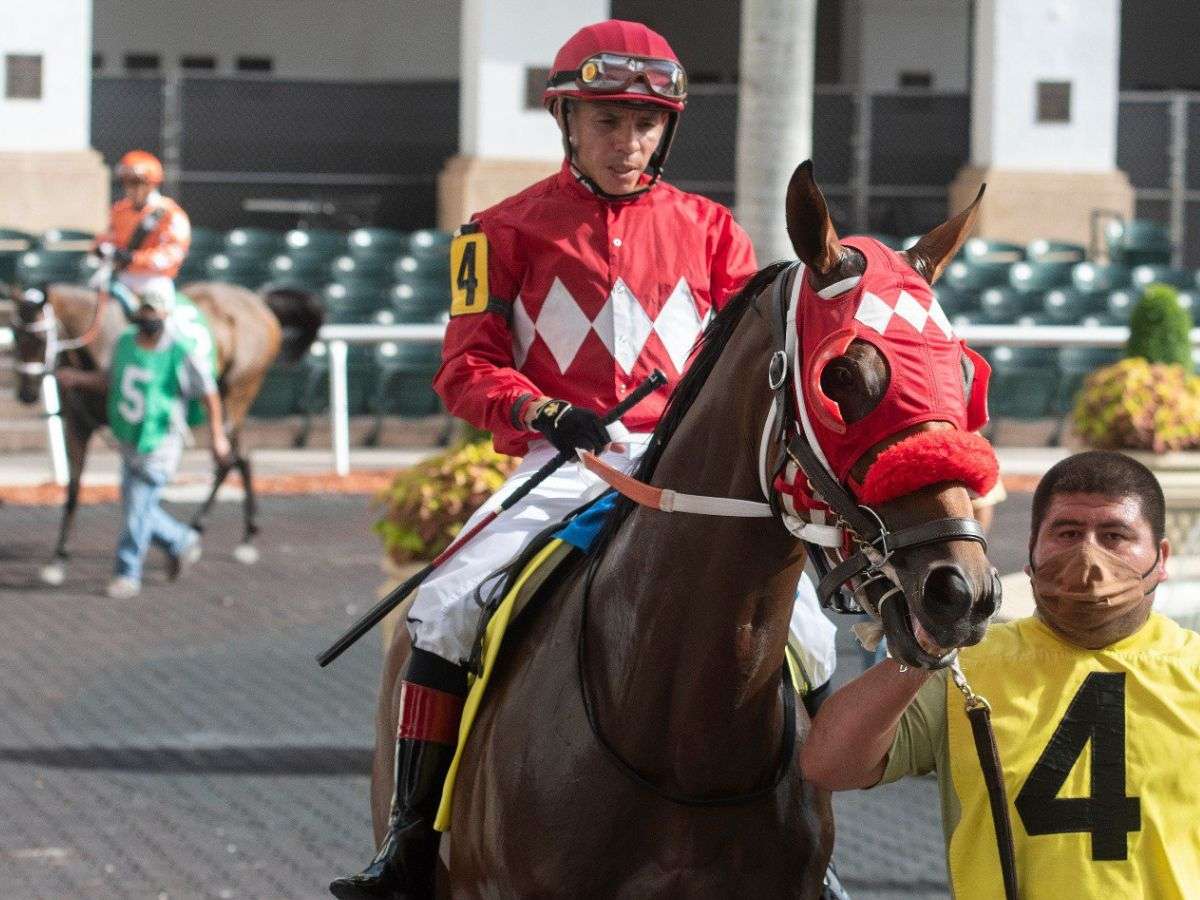 Jaramillo y Kikito entre los líderes de Gulfstream