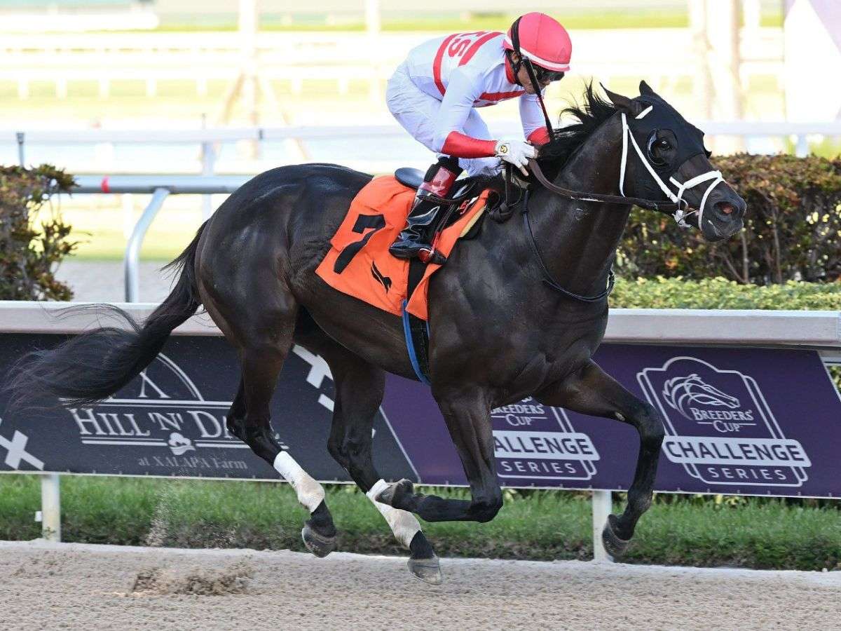 Kikito D’Angelo se anotó las 2 Breeders’ Cup Sprint