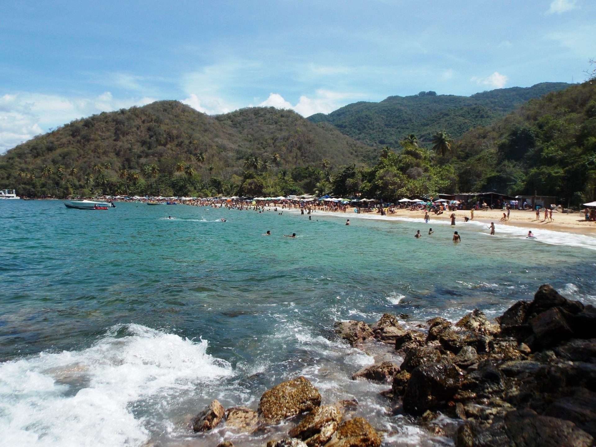 La Ruta de los Delfines: un espectáculo de la naturaleza