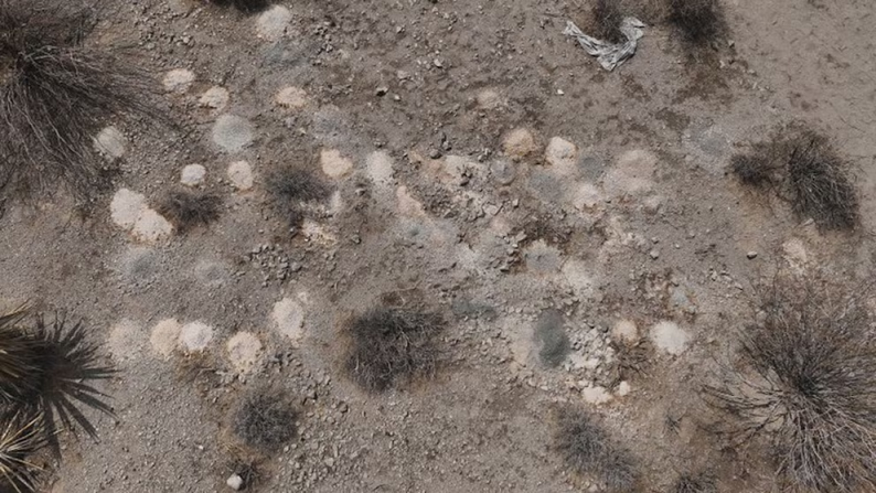 encontraron más de 300 pilas de restos humanos en una propiedad