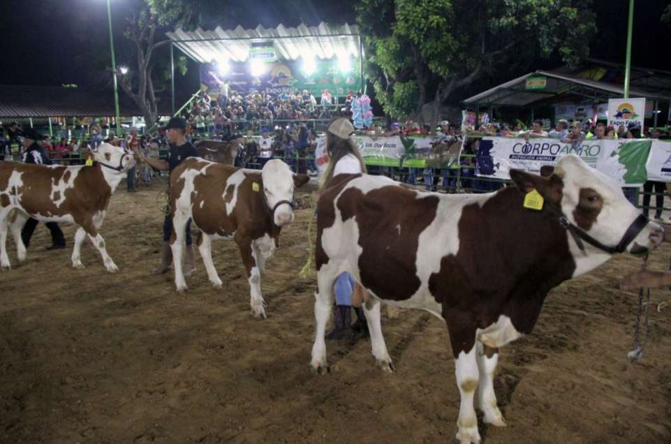 Expo Falcón 2025 abrió sus puertas para mostrar lo mejor de lo mejor