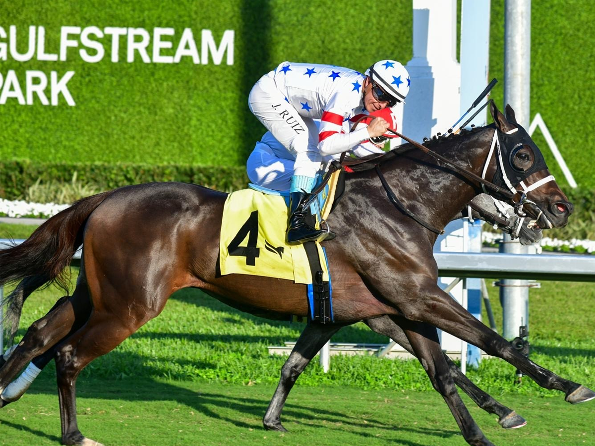 “Kikito” conquistó el Suwaness Stakes
