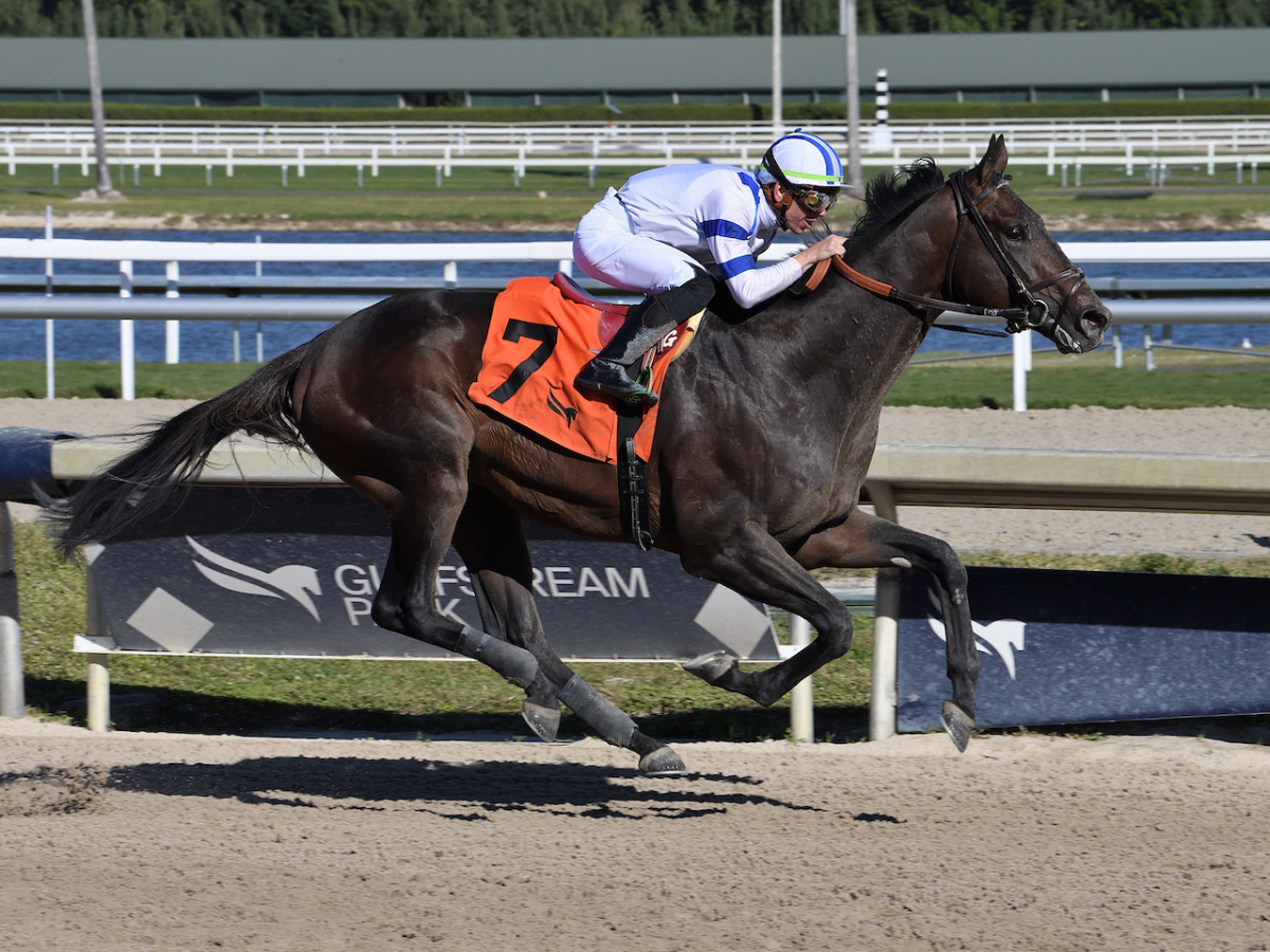 Tuscan Gold y Lured Away ya llegaron a La Rinconada