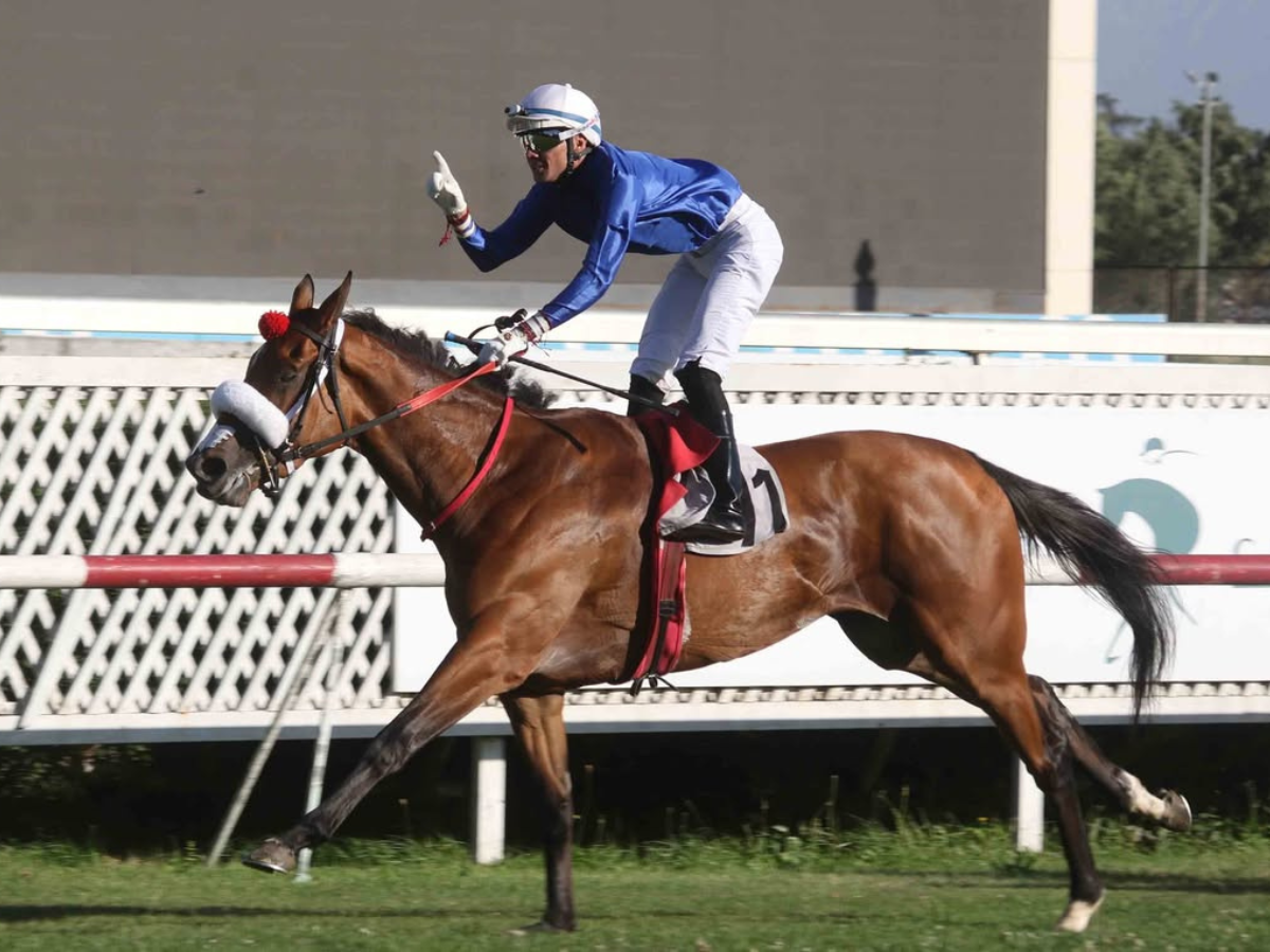 Noche Sublime brilló en Las Oaks (G1) de Chile