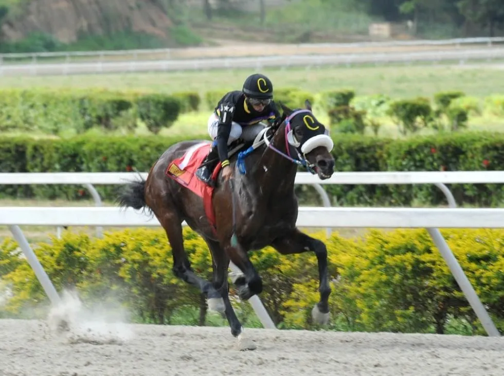 Resultados de La Rinconada