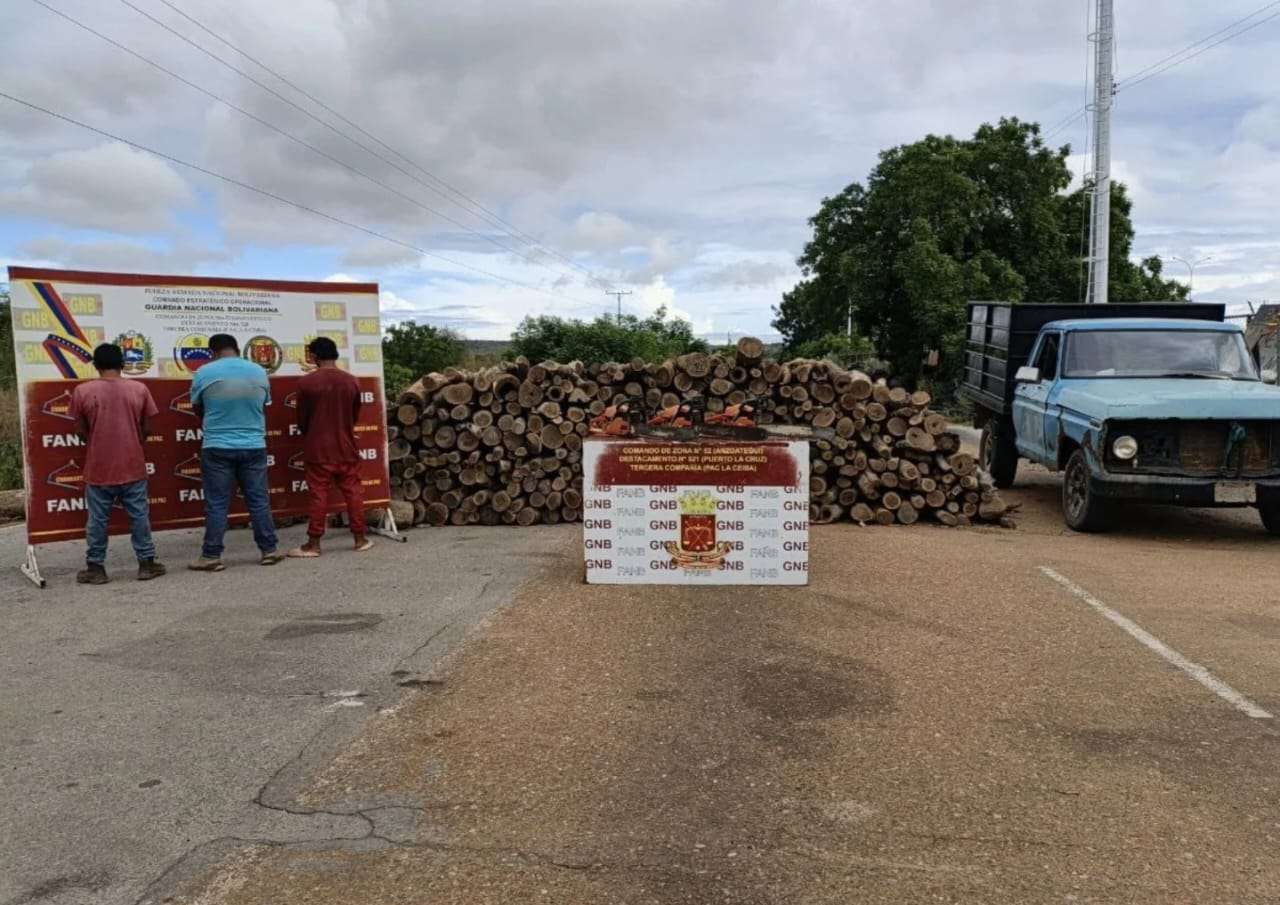 Detenidas 3 personas en Anzoátegui por talar 4,5 hectáreas de bosque