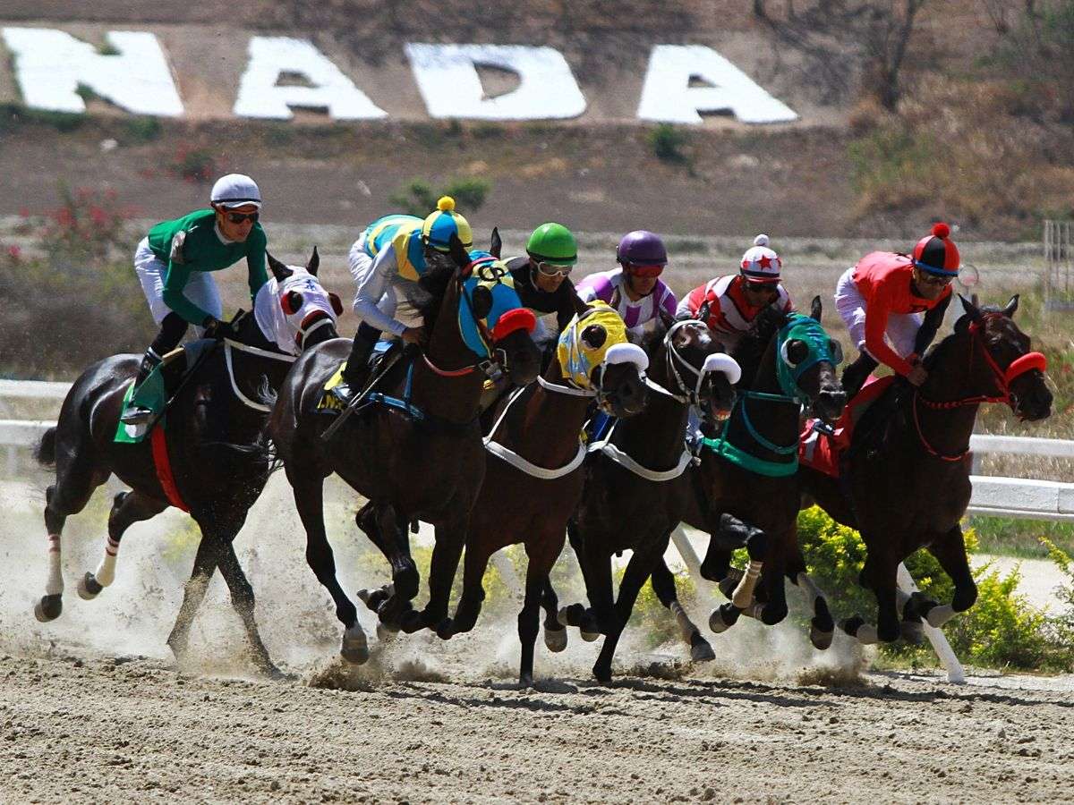 Inscripciones en Caracas y Valencia abren el 2026