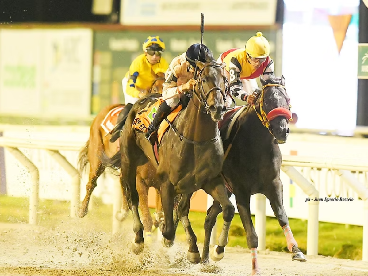Native Extreme se impuso en Uruguay