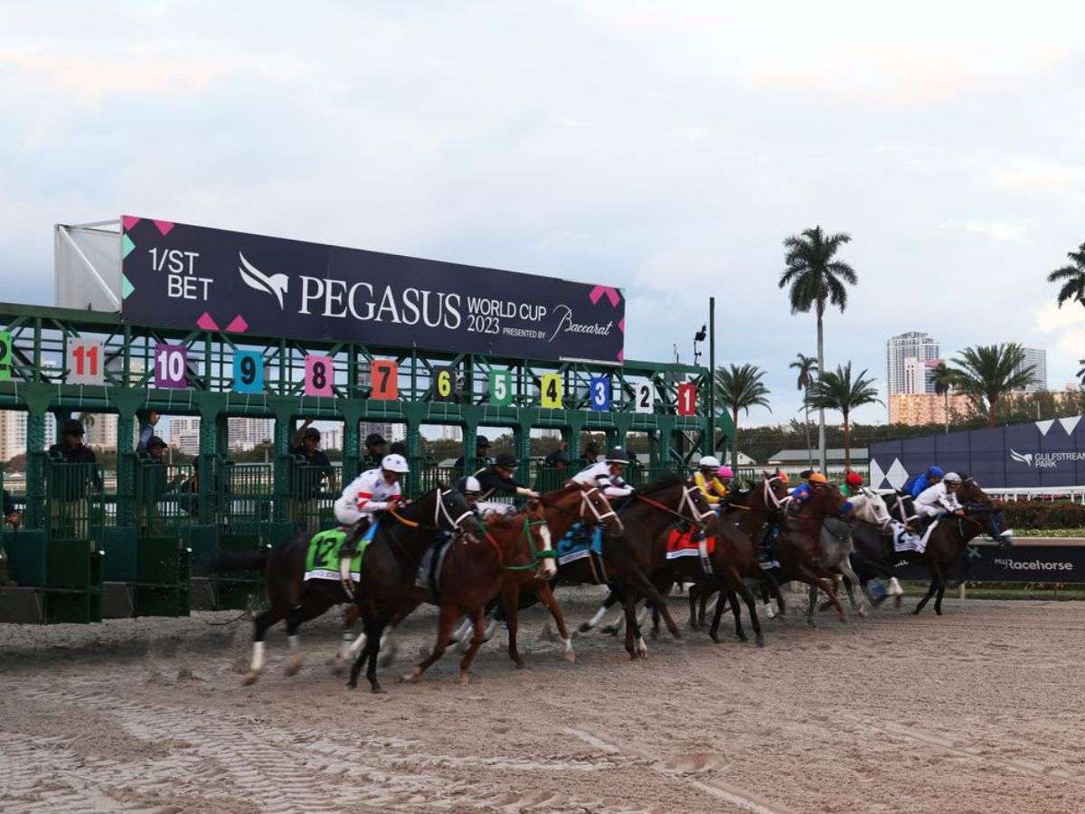 Criollos van por la Pegasus World Cup
