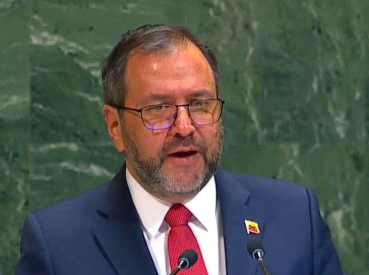 Canciller Gil expone a Seychelles e Italia la agresión que sufrió Venezuela