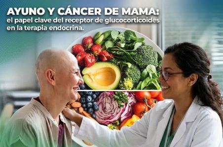 Ayuno y cáncer de mama: el papel clave del receptor de glucocorticoides