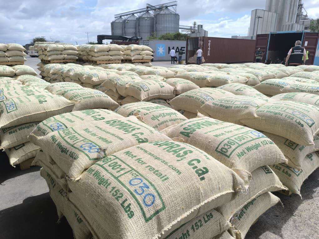 Crece exportación de café verde en Lara