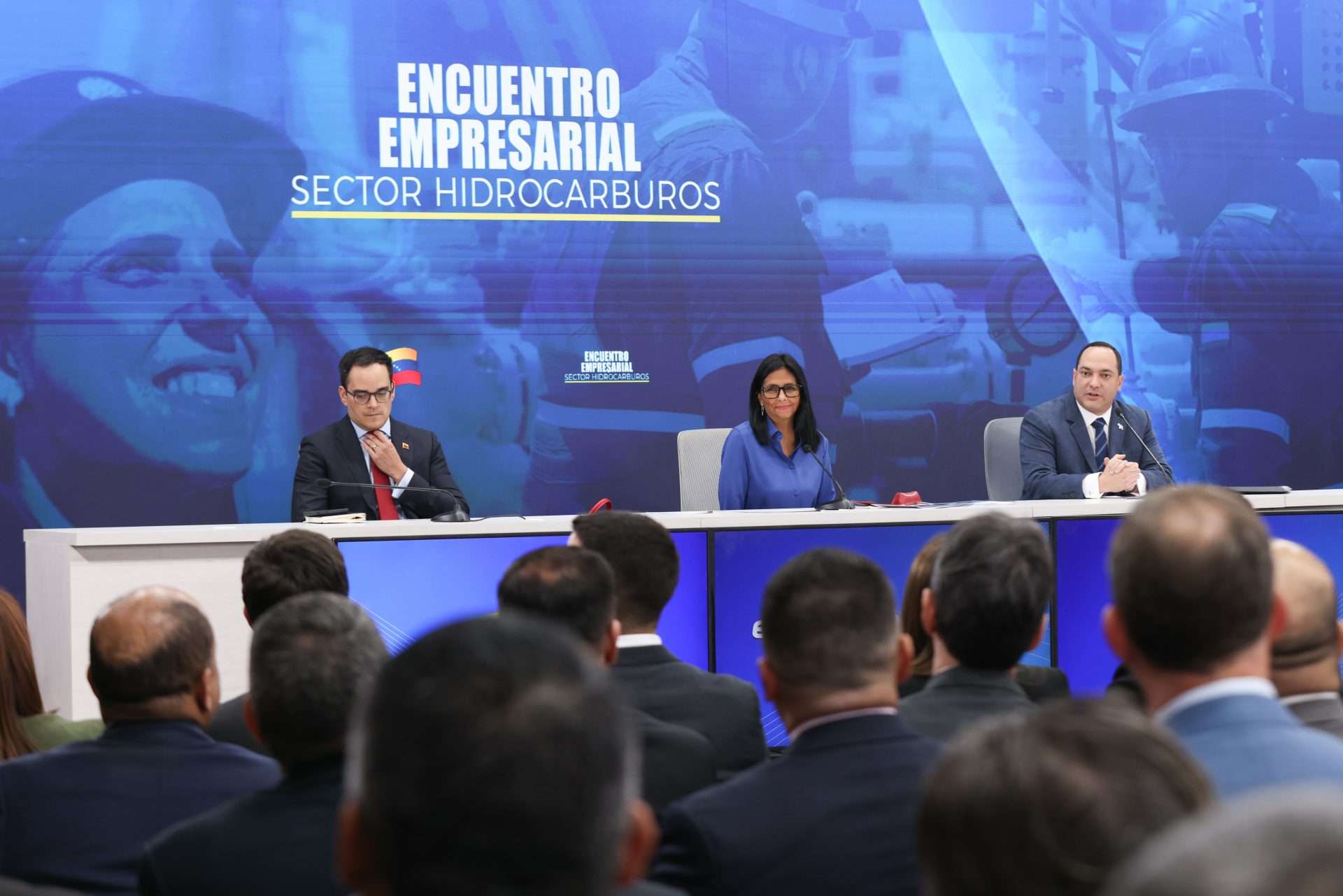 Presidenta (E) garantizó respeto por la inversión en sector hidrocarburos