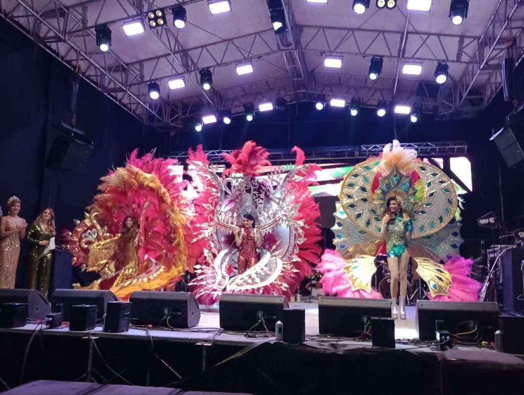Táchira se llena de color y tradición en carnaval