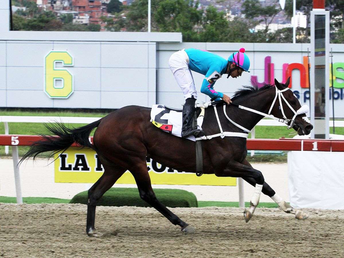 Princesa Fina se creció en el Clásico Ségula C