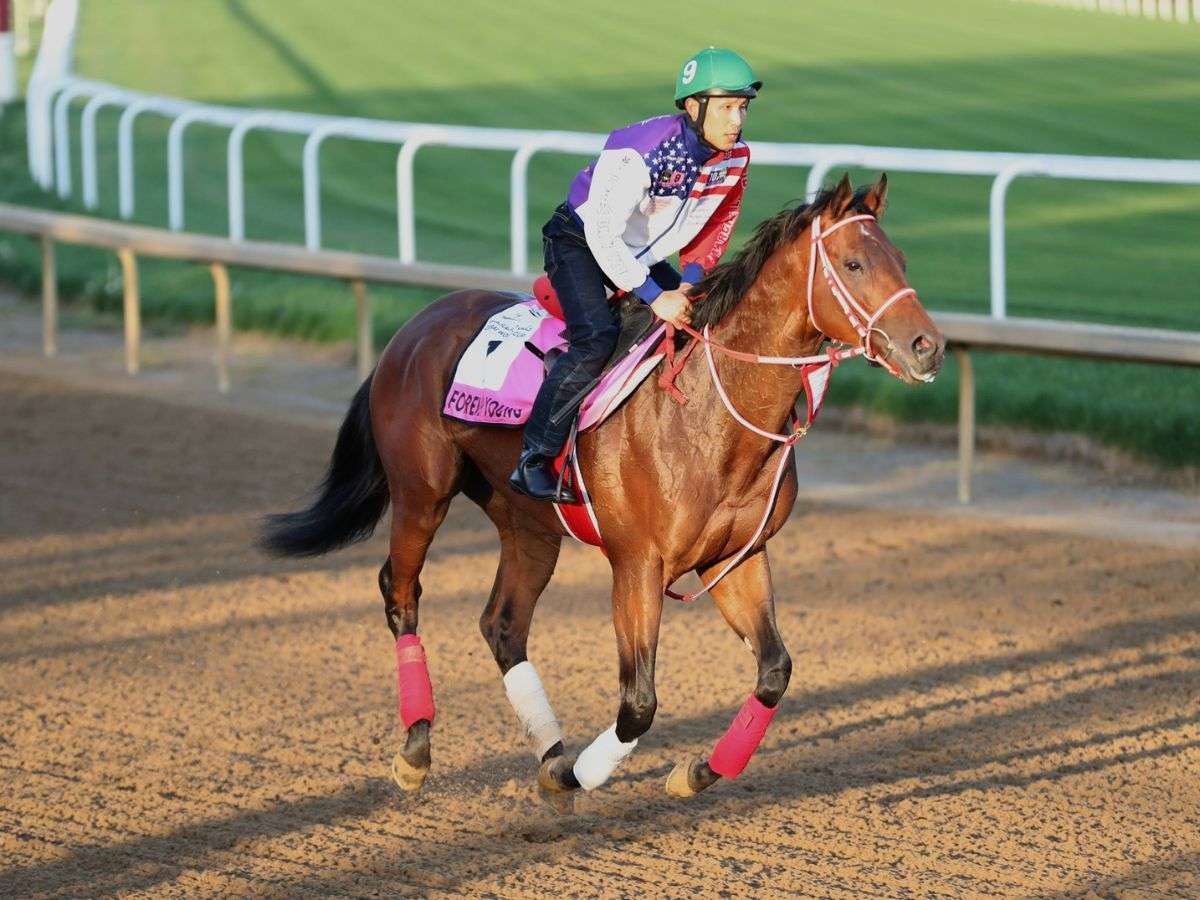 Forever Young va el sábado por su segunda Saudi Cup