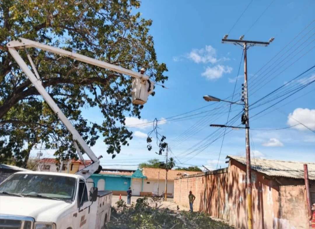 42.000 guariqueños favorecidos con mejoras en redes eléctricas